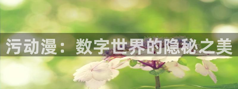风车动漫手机动漫网