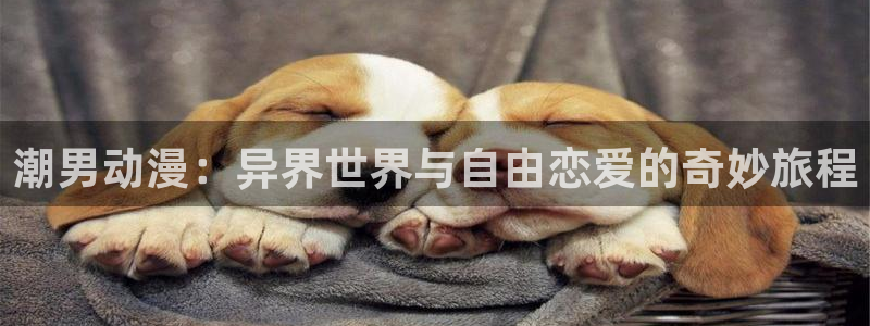 风车动漫网530