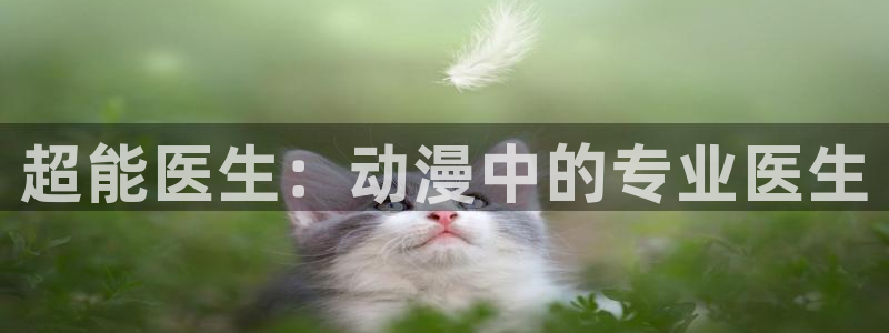 jojo黄金之风风车动漫