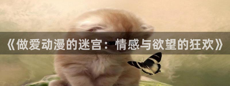 风车动漫网站