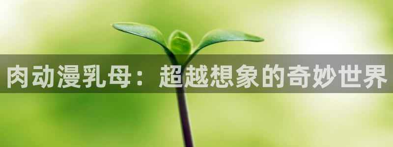风车动漫 下载