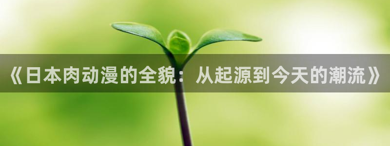 风车动漫?