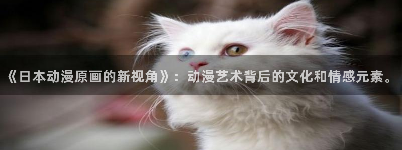 风车动漫网站官网新版
