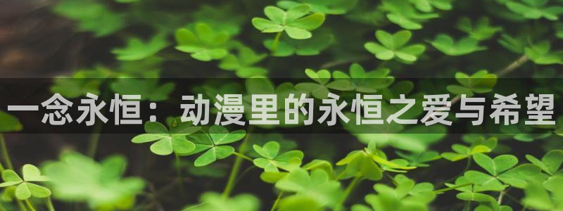 风车动漫在线高清
