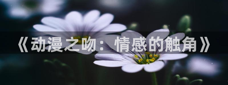 风车动漫视频在线观看