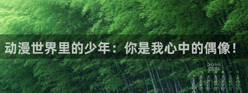 樱花风车动漫2024版