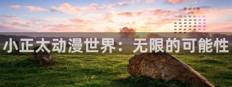 风车动漫的官网