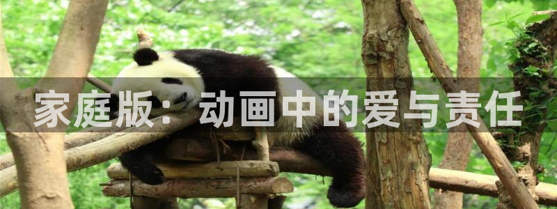 风车动漫在线免费入口