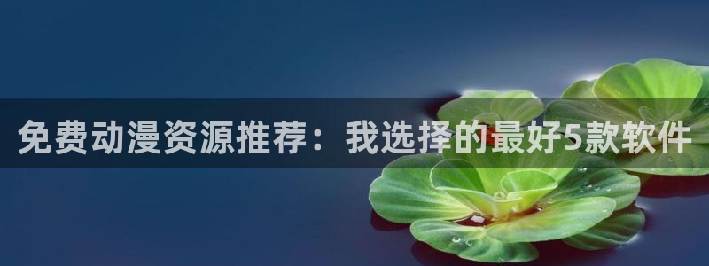 棺姬嘉依卡风车动漫