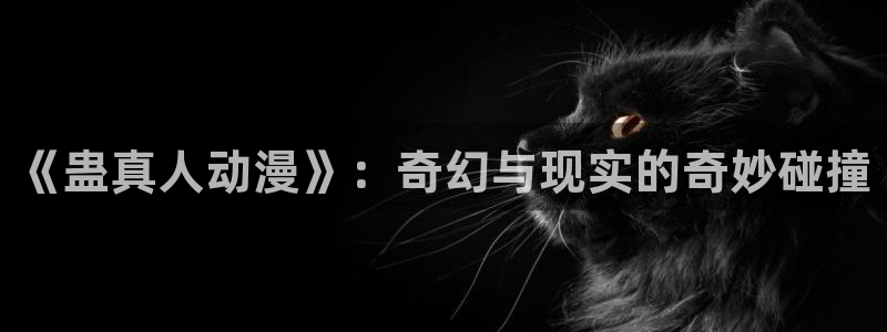 风车动漫旧版本