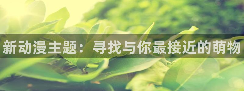 风车动漫旧版下载