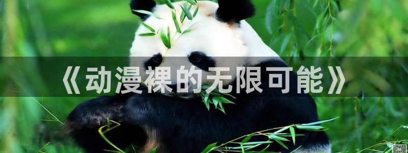 风车动漫网无删减