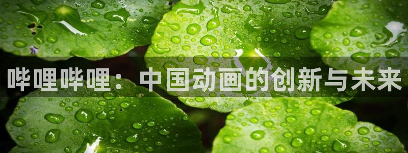风车动漫2