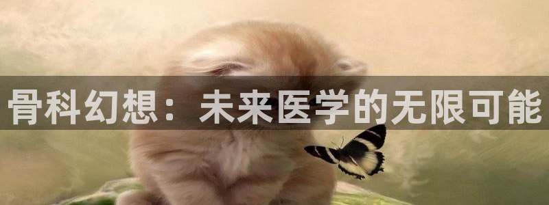 风车动漫专注动漫的官方门户网