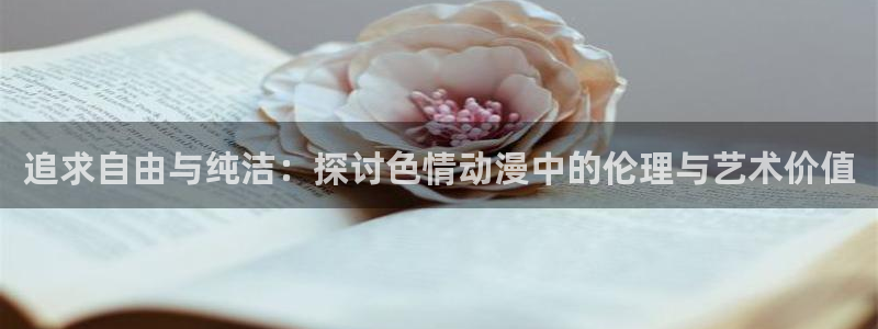 风车动漫高清在线播放