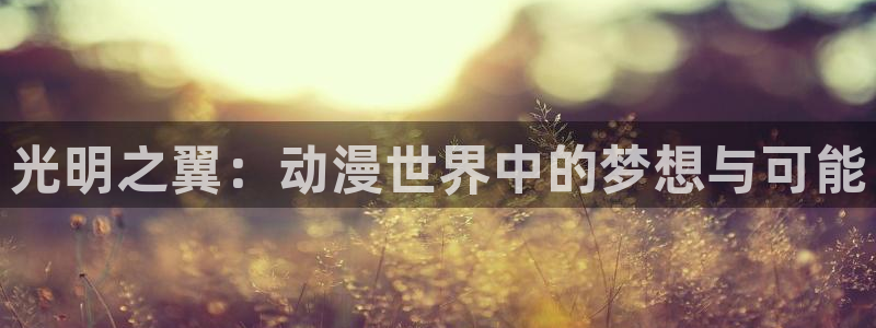 银魂免费观看风车动漫