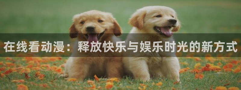 风车动漫_专注：在线看动漫：释放快乐与娱乐时光的新方式