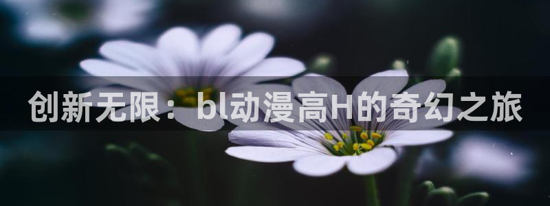 风车动漫手机动漫：创新无限：bl动漫高H的奇幻之旅