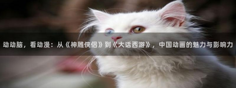 风车动漫_专注动漫的网站：动动脑，看动漫：从《神雕侠侣》到《大话西游》，中国动画的魅力与影响力