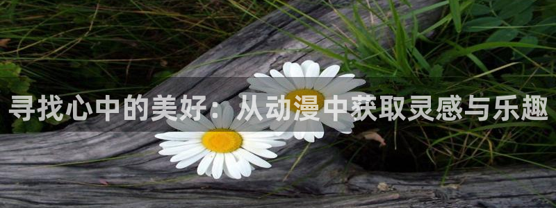 排球少年风车动漫：寻找心中的美好：从动漫中获取灵感与乐趣