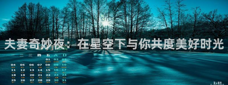 风车动漫在线看高清：夫妻奇妙夜：在星空下与你共度美好时光