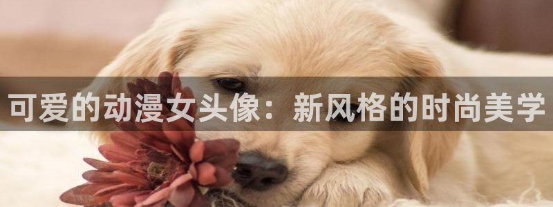 风车动漫在线观看高清：可爱的动漫女头像：新风格的时尚美学