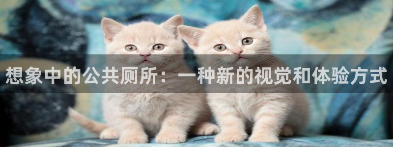 风车动漫www：想象中的公共厕所：一种新的视觉和体验方式