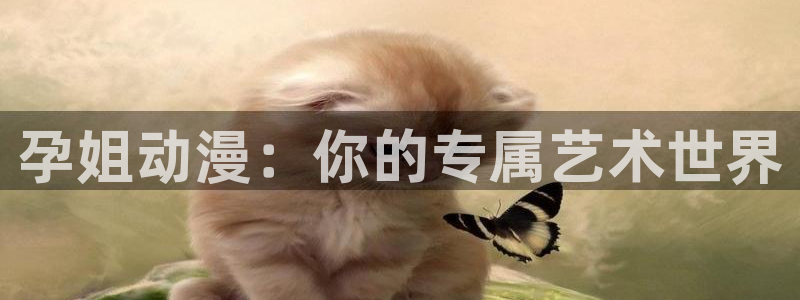 风车动漫应用下载：孕姐动漫：你的专属艺术世界