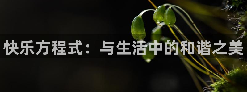 风车动漫资源下载：快乐方程式：与生活中的和谐之美