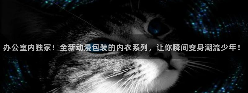 风车动漫是什么：办公室内独家！全新动漫包装的内衣系列，让你瞬间变身潮流少年！