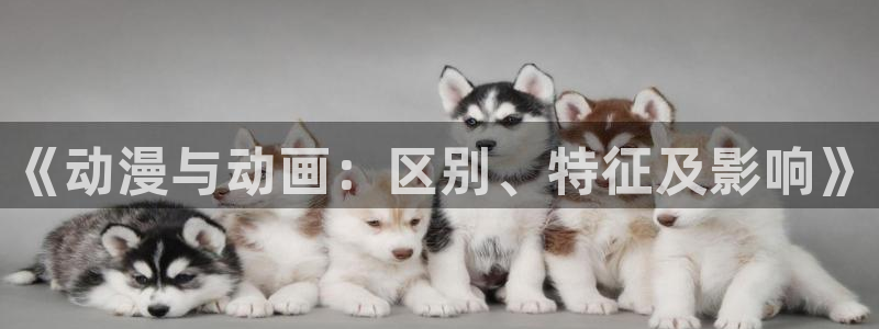 艳母风车动漫：《动漫与动画：区别、特征及影响》