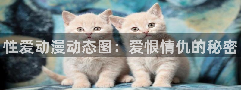 风车动漫免费播放：性爱动漫动态图：爱恨情仇的秘密