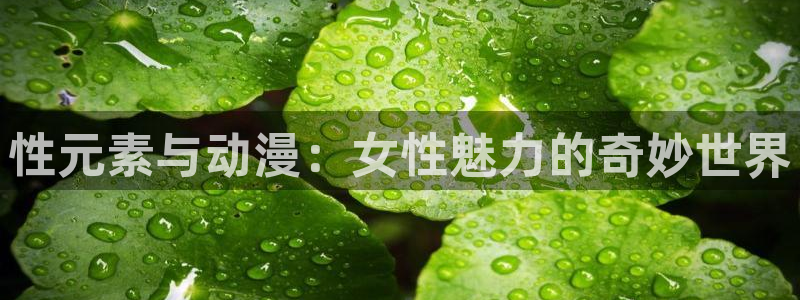 风车动漫火影忍者：性元素与动漫：女性魅力的奇妙世界
