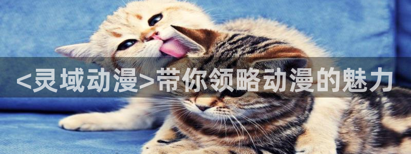 风车动漫专注的门户网站-专注动漫的：<灵域动漫>带你领略动漫的魅力