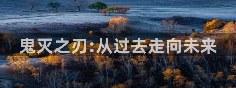 在线风车动漫网站入口：鬼灭之刃:从过去走向未来