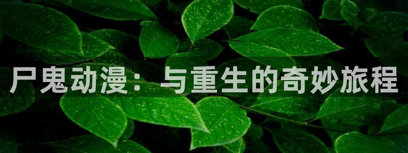 风车动漫dmp：尸鬼动漫：与重生的奇妙旅程