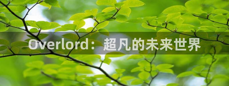 风车动漫漫画：Overlord：超凡的未来世界