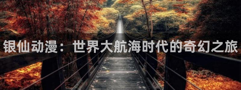 风车动漫手机动漫：银仙动漫：世界大航海时代的奇幻之旅
