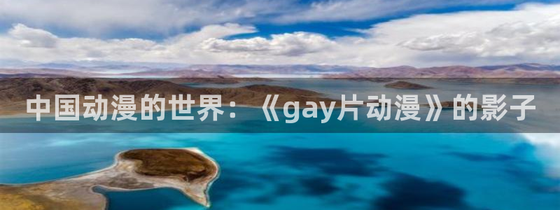 风车动漫樱花动漫：中国动漫的世界：《gay片动漫》的影子