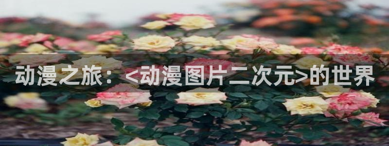 哥布林杀手风车动漫：动漫之旅：<动漫图片二次元>的世界
