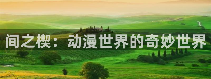 风车动漫理论：间之楔：动漫世界的奇妙世界
