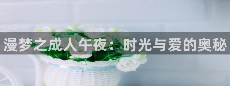 风车动漫手机版专注动漫的门户网站：漫梦之成人午夜：时光与爱的奥秘