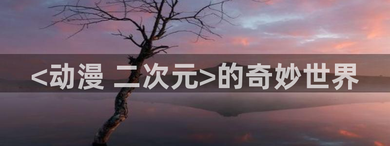 风车动漫影视：<动漫 二次元>的奇妙世界