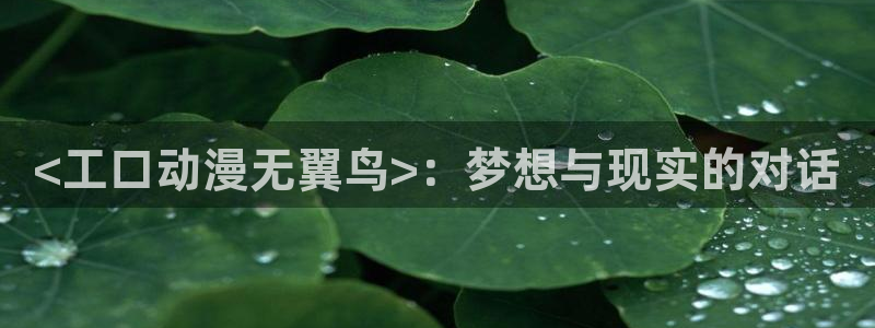 免费下载风车动漫：<工口动漫无翼鸟>：梦想与现实的对话