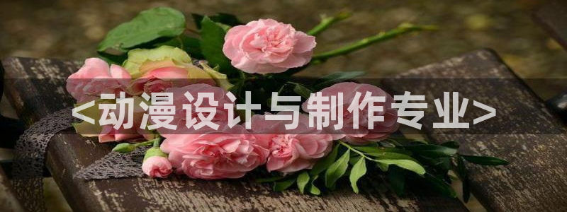 备长炭风车动漫：<动漫设计与制作专业>