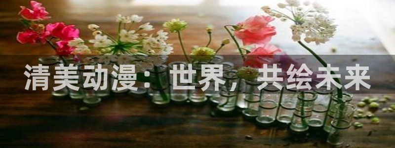 灌篮高手风车动漫：清美动漫：世界，共绘未来