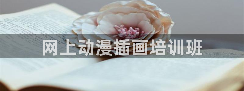 风车动漫p530：网上动漫插画培训班
