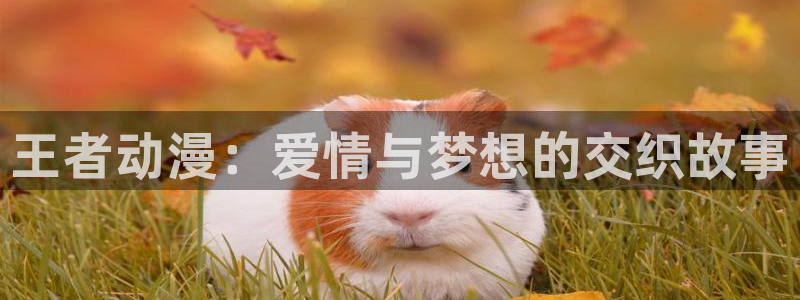 风车动漫(p)专注动漫的门户官方网：王者动漫：爱情与梦想的交织故事