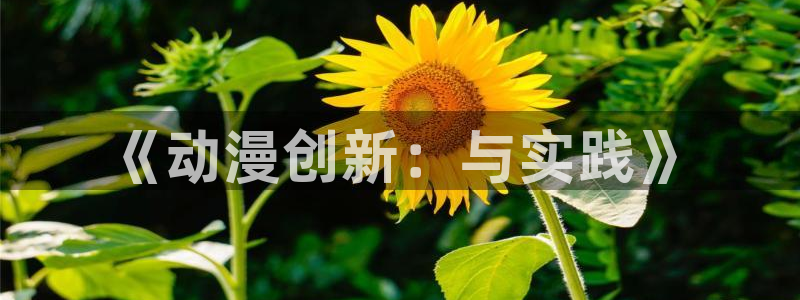 正在播放风车动漫：《动漫创新：与实践》