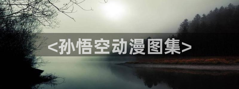 风车动漫无删减版：<孙悟空动漫图集>